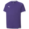 Puma TeamLIGA Kinder Trikot