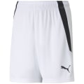 Puma TeamLIGA Kinder Shorts