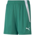 Puma TeamLIGA Kinder Shorts