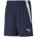 Puma TeamLIGA Kinder Shorts