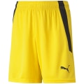 Puma TeamLIGA Kinder Shorts