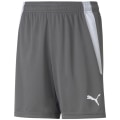 Puma TeamLIGA Kinder Shorts