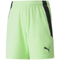 Puma TeamLIGA Kinder Shorts