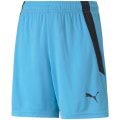 Puma TeamLIGA Kinder Shorts