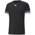 Puma TeamRISE Herren Trikot