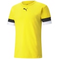 Puma TeamRISE Herren Trikot