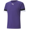 Puma TeamRISE Herren Trikot