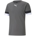 Puma TeamRISE Herren Trikot