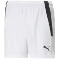 Puma TeamLIGA W Damen Shorts