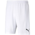 Puma TeamRISE Short Herren Shorts