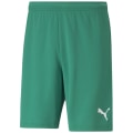 Puma TeamRISE Short Herren Shorts