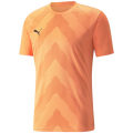 Puma TeamGLORY Herren Trikot