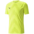 Puma TeamGLORY Herren Trikot