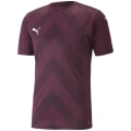 Puma TeamGLORY Herren Trikot