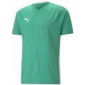 Puma TeamCUP Herren T-Shirt