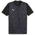 Puma teamGLORY Herren Trikot
