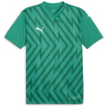 Puma teamGLORY Herren Trikot