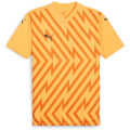 Puma teamGLORY Herren Trikot