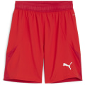 Puma teamFINAL Herren Shorts