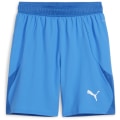 Puma teamFINAL Herren Shorts