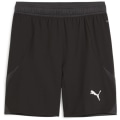 Puma teamFINAL Herren Shorts