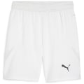 Puma teamFINAL Herren Shorts