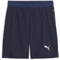 Puma teamFINAL Herren Shorts