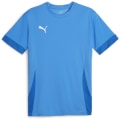Puma teamGOAL Matchday Herren Trikot