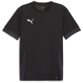 Puma teamGOAL Matchday Herren Trikot