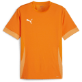 Puma teamGOAL Matchday Herren Trikot