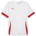 Puma teamGOAL Matchday Herren Trikot