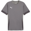 Puma teamGOAL Matchday Herren Trikot