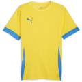 Puma teamGOAL Matchday Herren Trikot