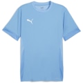 Puma teamGOAL Matchday Herren Trikot