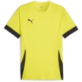 Puma teamGOAL Matchday Herren Trikot