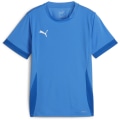 Puma teamGOAL Matchday Kinder Trikot