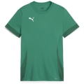 Puma teamGOAL Matchday Kinder Trikot