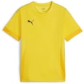 Puma teamGOAL Matchday Kinder Trikot