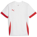 Puma teamGOAL Matchday Kinder Trikot