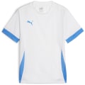 Puma teamGOAL Matchday Kinder Trikot