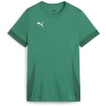 Puma teamGOAL Matchday Damen Trikot