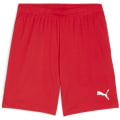 Puma teamGOAL Herren Shorts