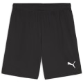 Puma teamGOAL Herren Shorts