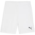 Puma teamGOAL Herren Shorts