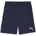 Puma teamGOAL Herren Shorts