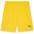 Puma teamGOAL Herren Shorts