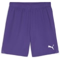 Puma teamGOAL Herren Shorts