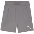 Puma teamGOAL Herren Shorts
