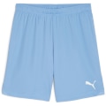 Puma teamGOAL Herren Shorts