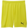 Puma teamGOAL Herren Shorts